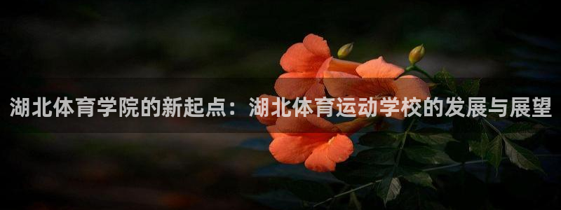 米兰体育