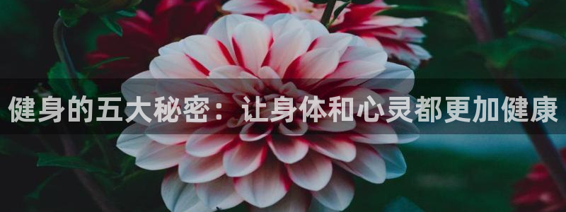 米兰体育官方下载入口