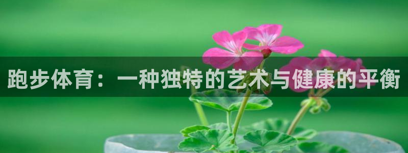 米兰体育中心