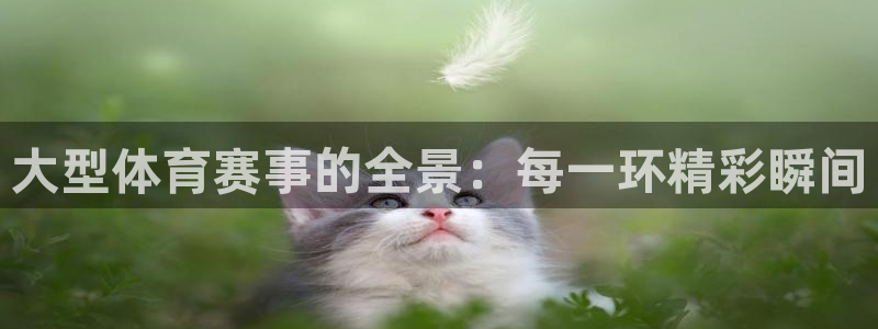 米兰体育入口